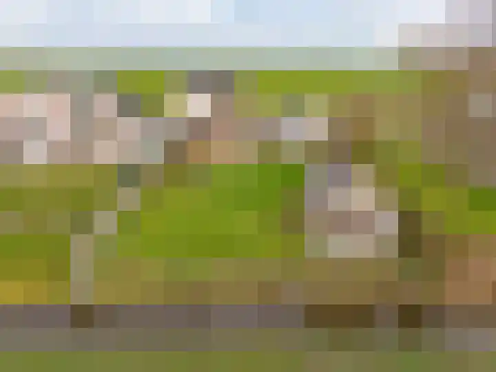 Flieterpsterdyk 15 Reitsum thumbnail 54
