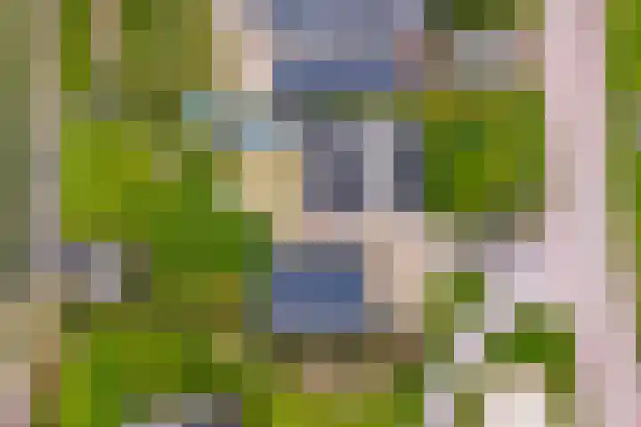 Flieterpsterdyk 15 Reitsum thumbnail 55