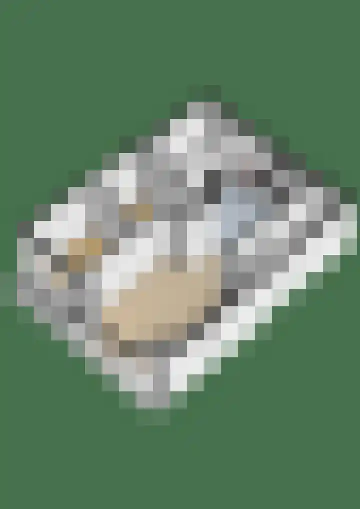 Flieterpsterdyk 15 Reitsum thumbnail 57