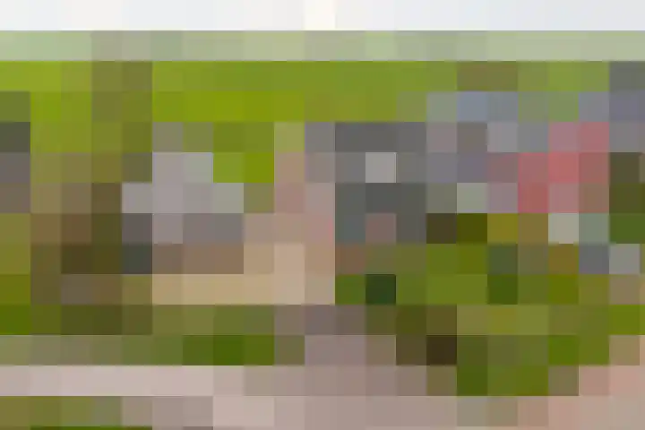 Flieterpsterdyk 15 Reitsum thumbnail 6
