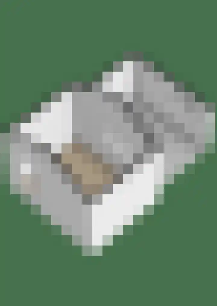 Flieterpsterdyk 15 Reitsum thumbnail 63
