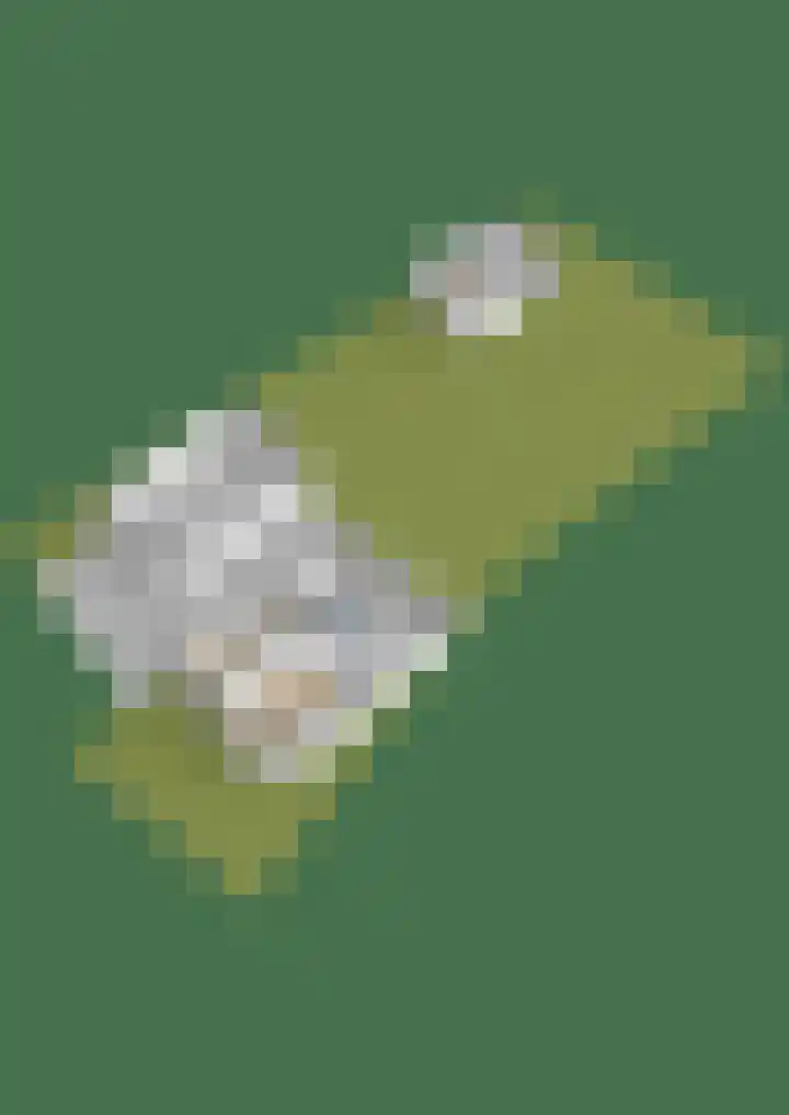 Flieterpsterdyk 15 Reitsum thumbnail 67