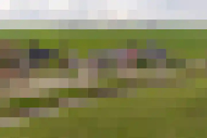 Flieterpsterdyk 15 Reitsum thumbnail 7