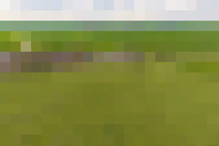 Flieterpsterdyk 15 Reitsum thumbnail 8