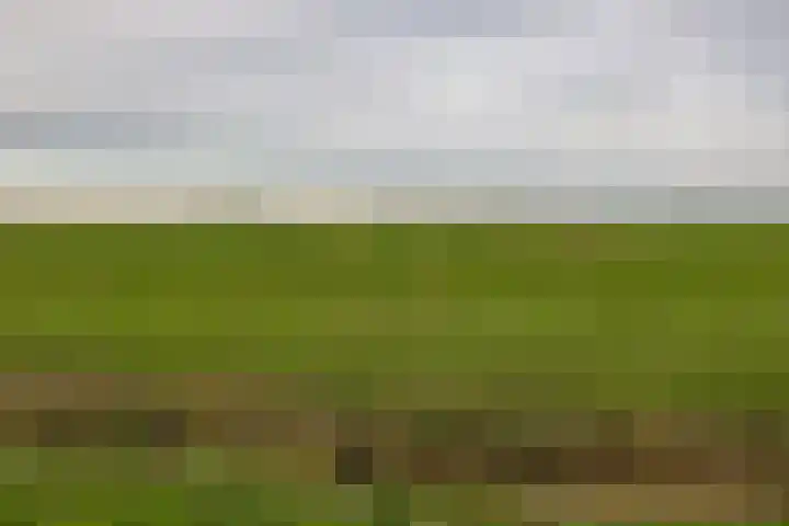 Flieterpsterdyk 15 Reitsum thumbnail 9