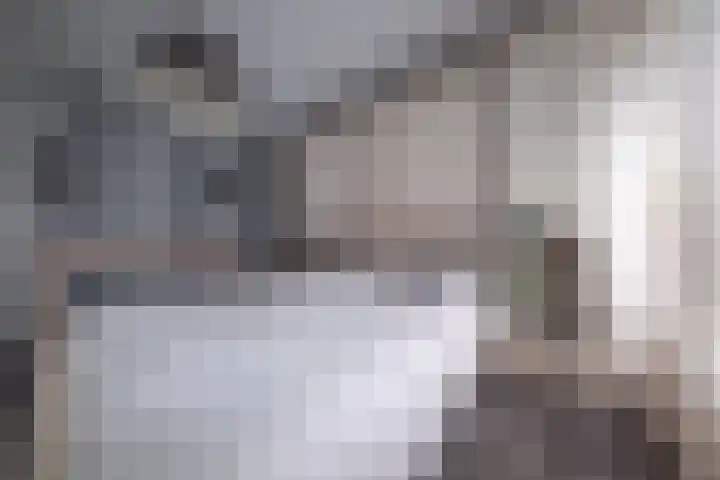 Fliksakkers 1 Peize thumbnail 16