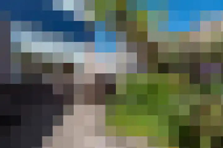 Fliksakkers 1 Peize thumbnail 28