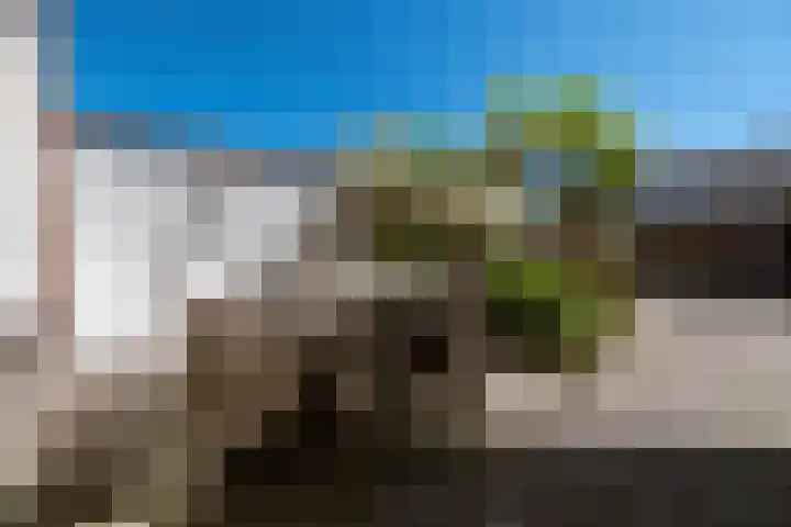 Fliksakkers 1 Peize thumbnail 30