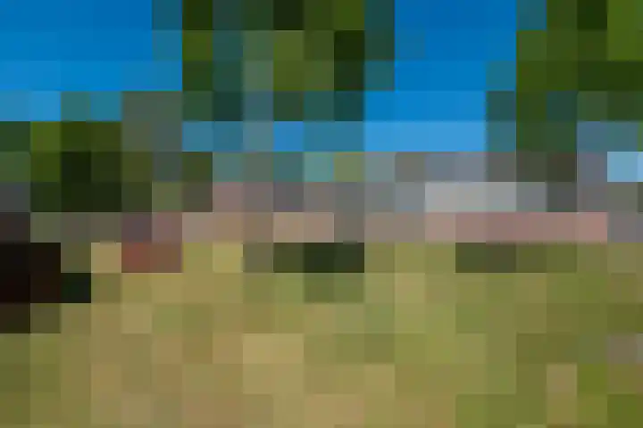 Fliksakkers 1 Peize thumbnail 33