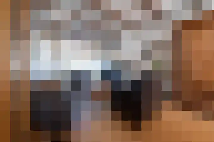Fliksakkers 1 Peize thumbnail 7