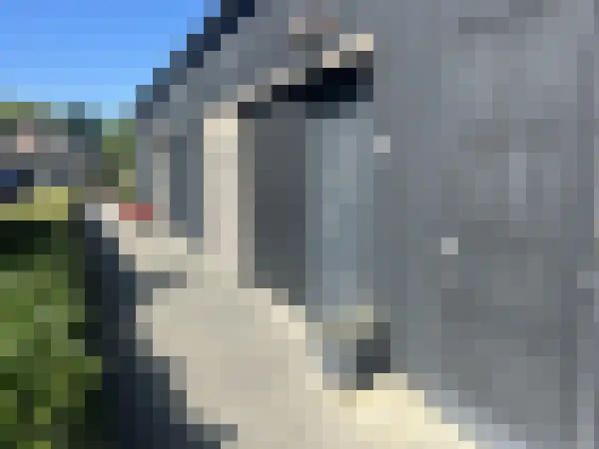 Flinkert 2 Vessem foto 2