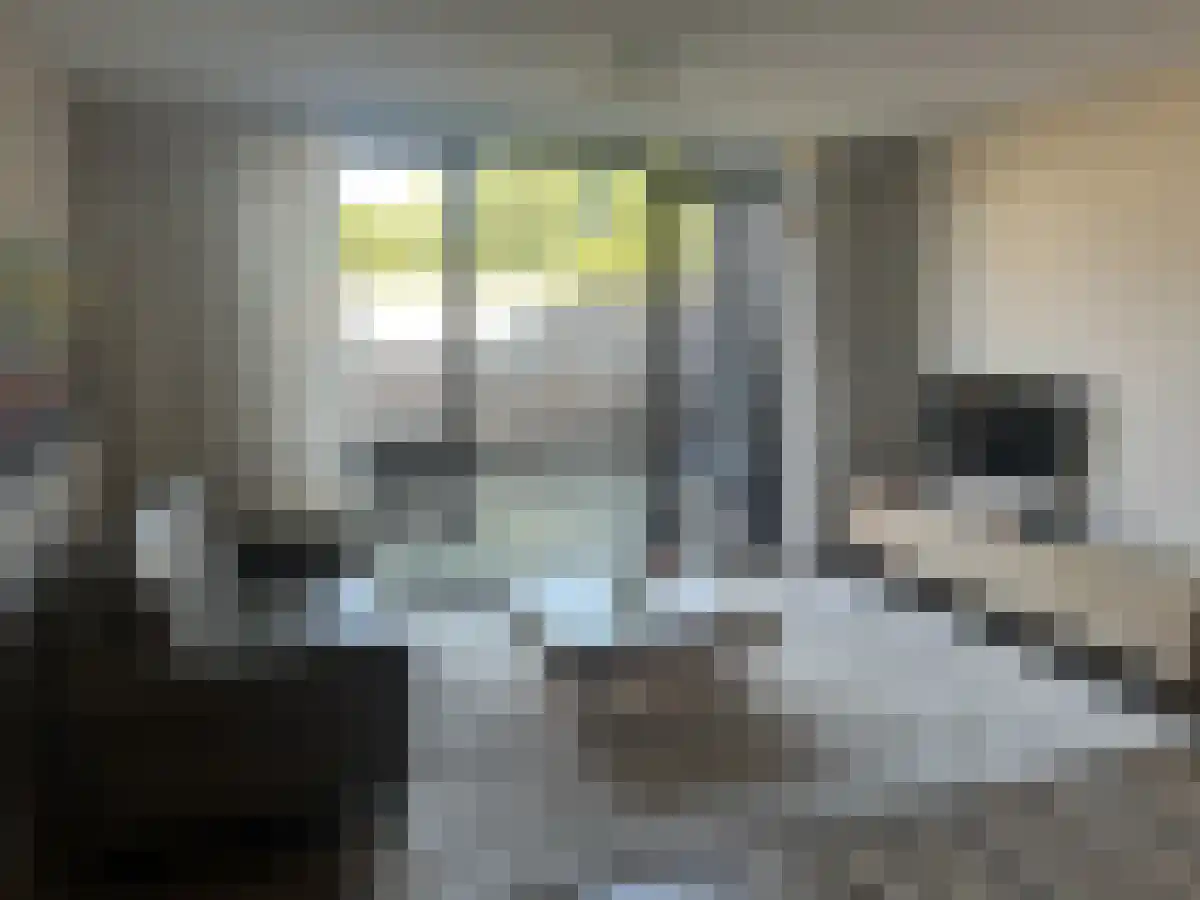 Flinkert 2 Vessem foto 3