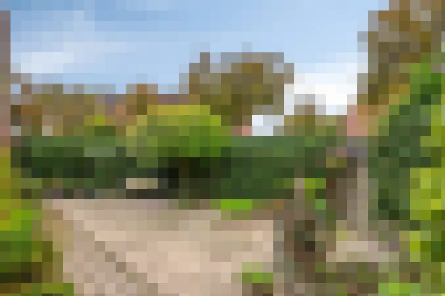 Flins 18 Leende thumbnail 36