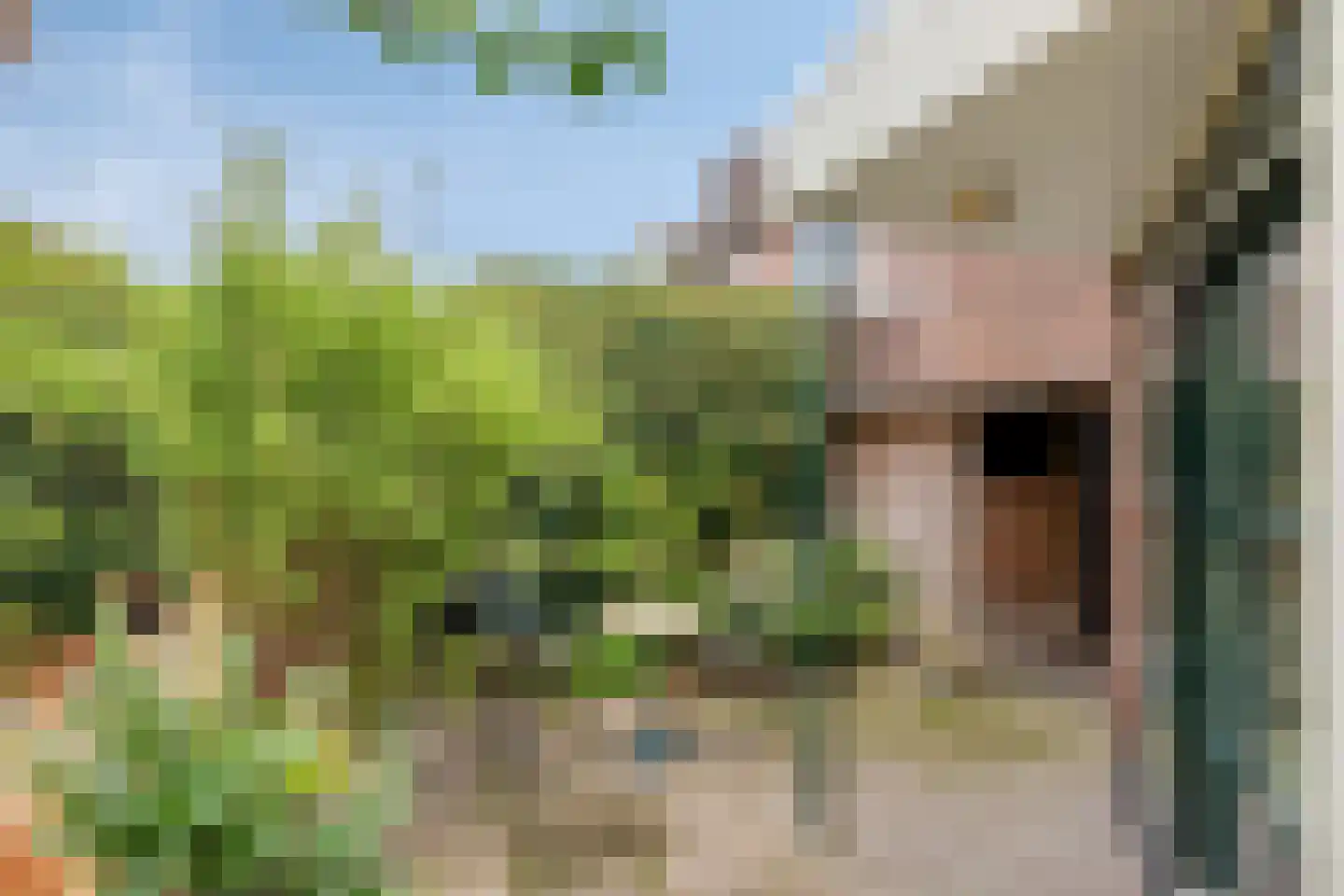 Flins 18 Leende thumbnail 41