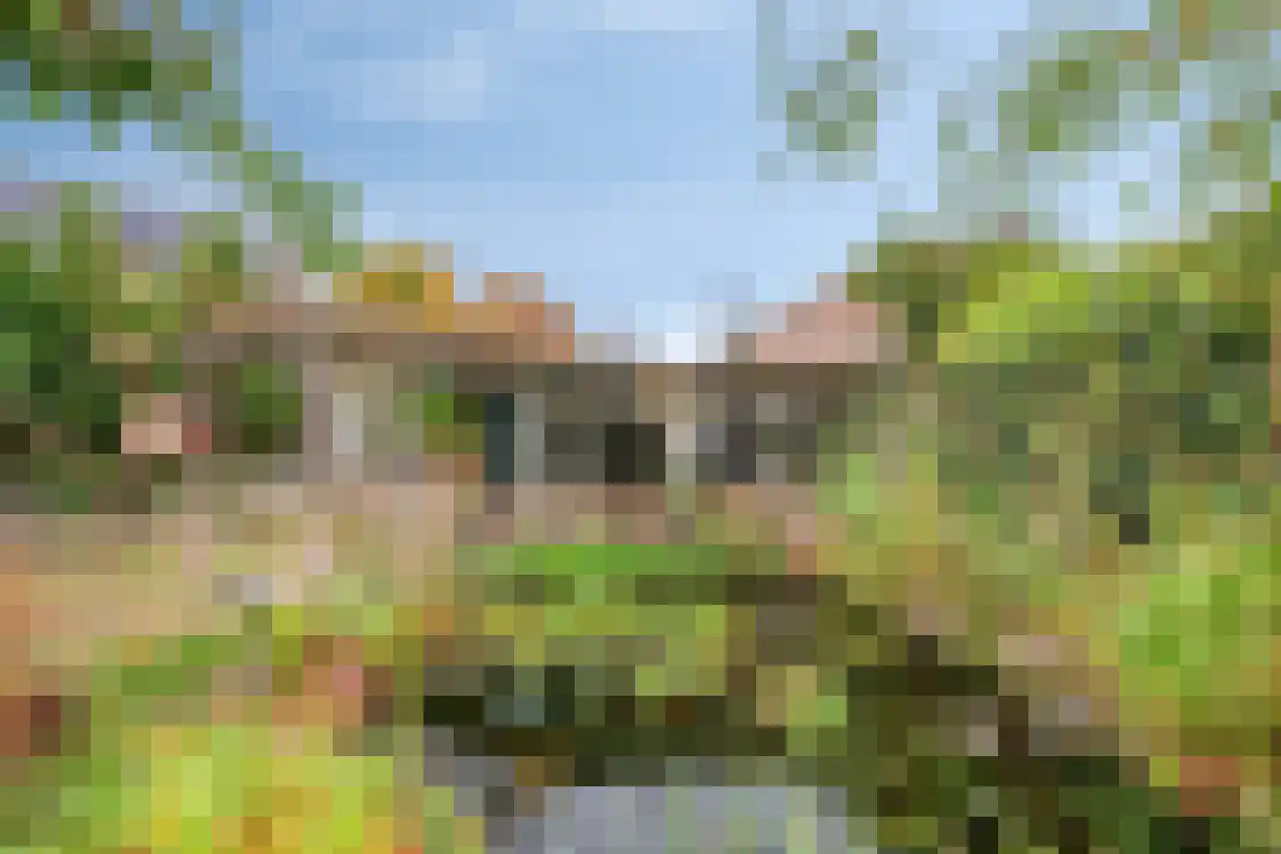 Flins 18 Leende thumbnail 42