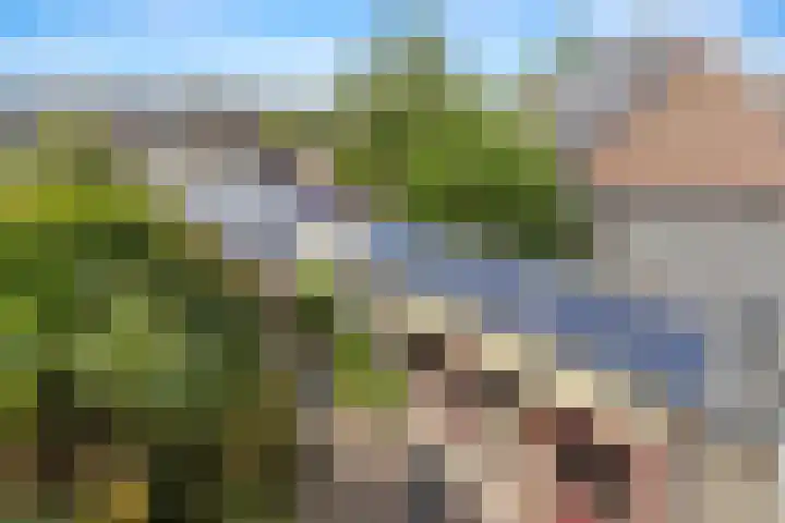 Flintdijk 140 Roosendaal thumbnail 39