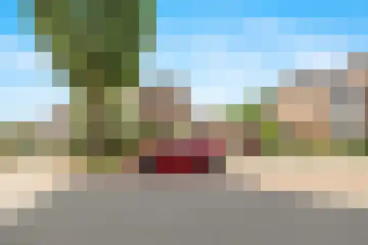 Flintdijk 140 Roosendaal thumbnail 42