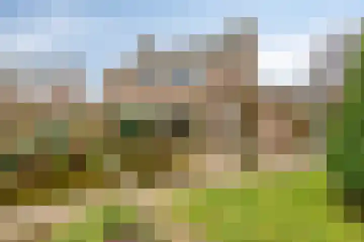 Flintdijk 20 Roosendaal thumbnail 37