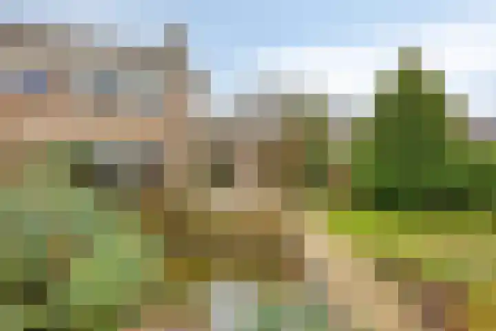 Flintdijk 20 Roosendaal thumbnail 39