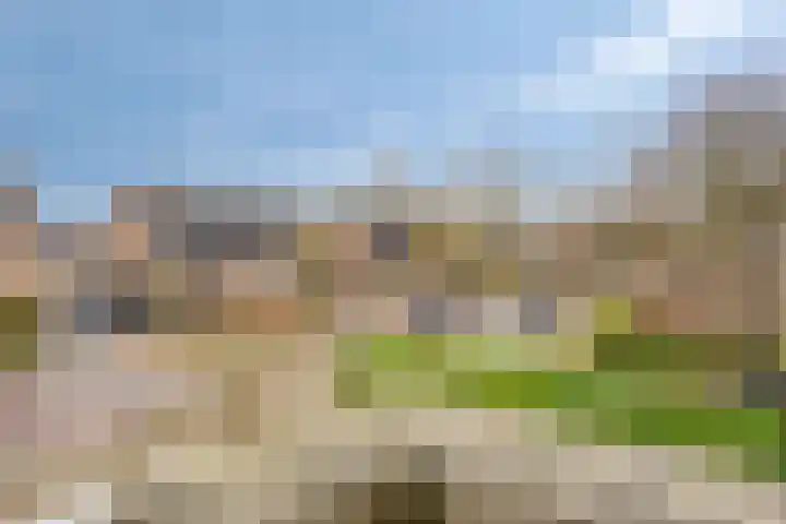 Flintdijk 20 Roosendaal thumbnail 41