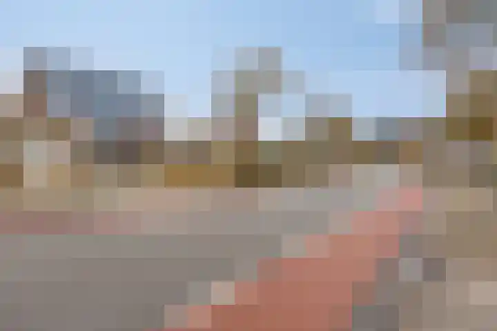 Flintdijk 20 Roosendaal thumbnail 46