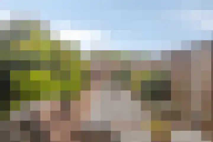 Flintdijk 227 Roosendaal thumbnail 26