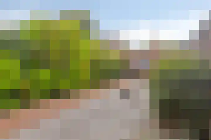Flintdijk 227 Roosendaal thumbnail 27