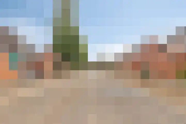 Flintdijk 227 Roosendaal thumbnail 32