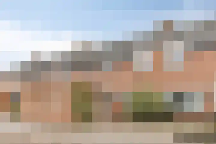 Flintdijk 229 Roosendaal thumbnail 30