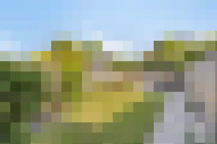 Flintdijk 60 Roosendaal thumbnail 31