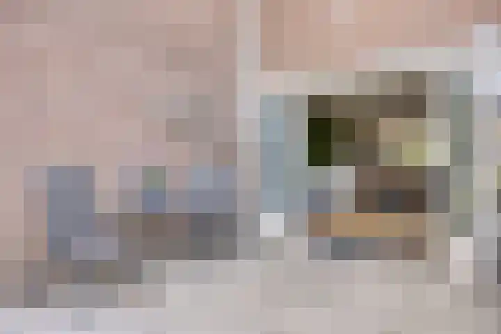Flintdijk 60 Roosendaal thumbnail 33