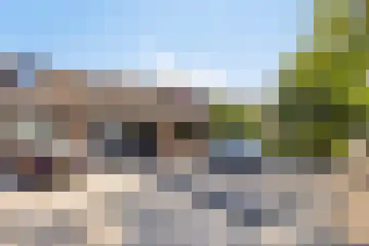 Flintdijk 60 Roosendaal thumbnail 38