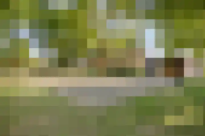 Flintdijk 60 Roosendaal thumbnail 39