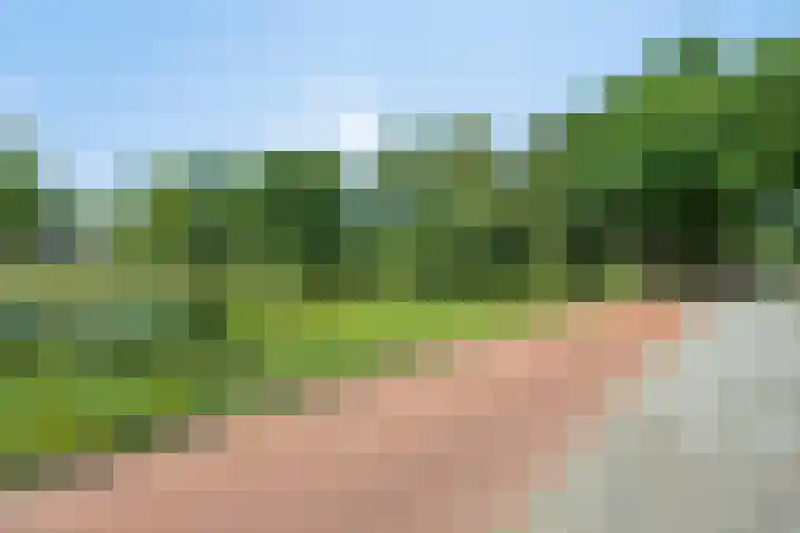 Flintdijk 60 Roosendaal thumbnail 41
