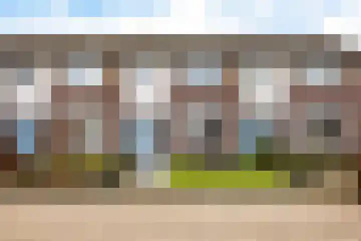 Flintenpad 69 en Schoonebeek