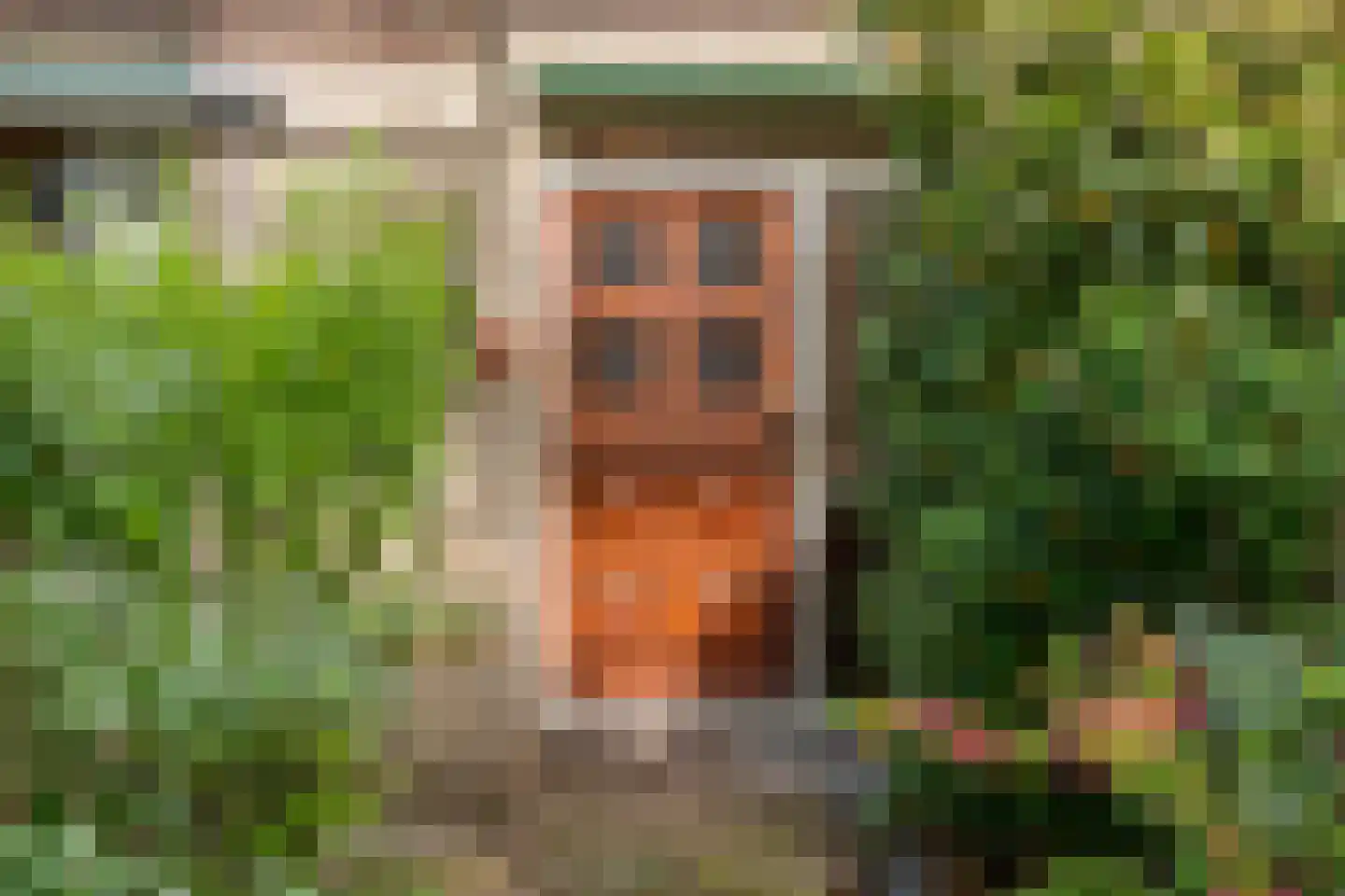 Flintstraat 20 Emmen thumbnail 5