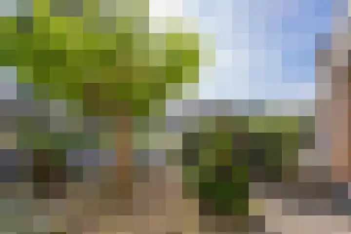 Flipje's Erf 16 Tiel thumbnail 10