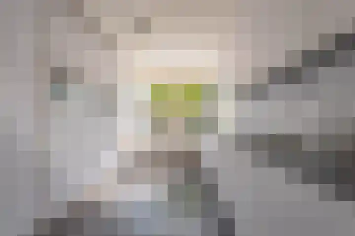 Flipje's Erf 16 Tiel foto 2