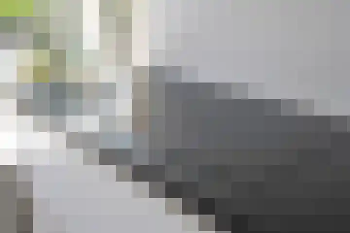 Flipje's Erf 16 Tiel thumbnail 22