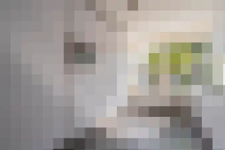 Flipje's Erf 16 Tiel thumbnail 23