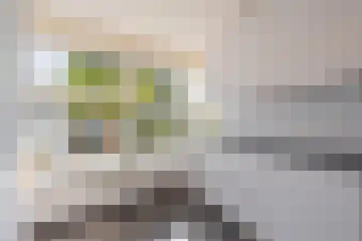 Flipje's Erf 16 Tiel thumbnail 24