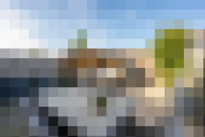 Flipje's Erf 16 Tiel foto 3