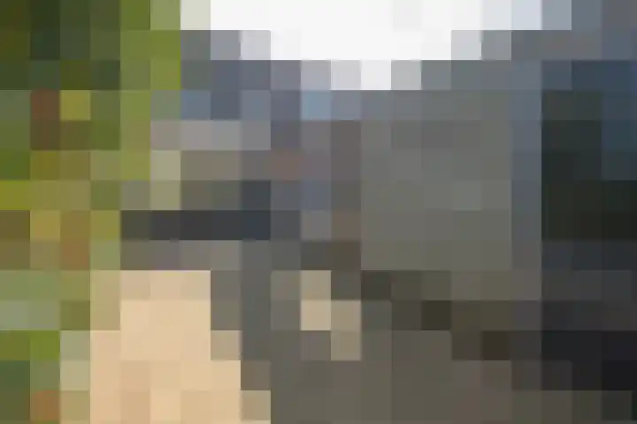 Flipje's Erf 16 Tiel thumbnail 34