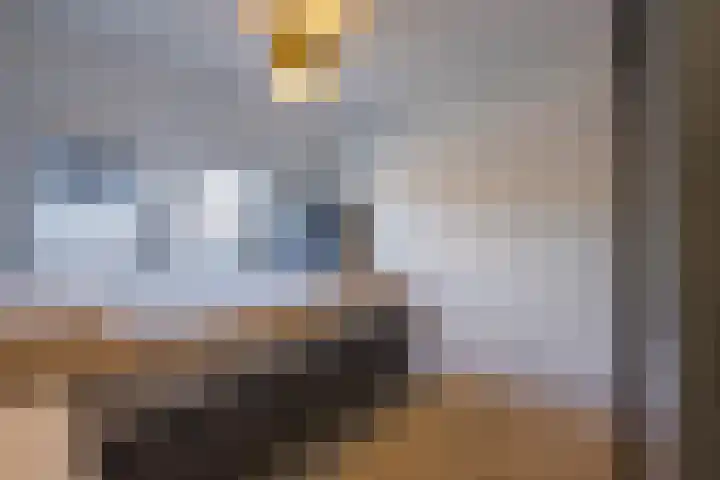 Flipje's Erf 16 Tiel thumbnail 39