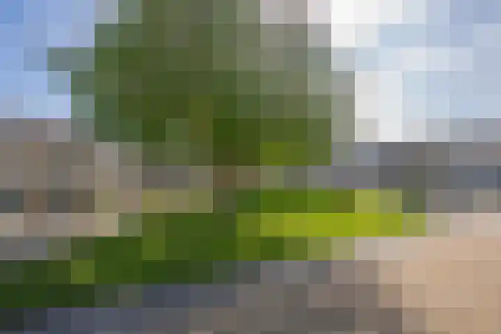 Flipje's Erf 16 Tiel thumbnail 4