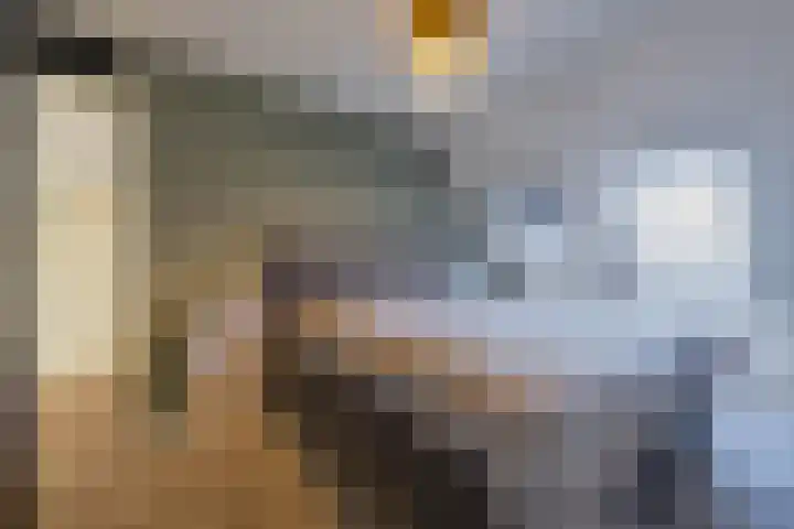 Flipje's Erf 16 Tiel thumbnail 40
