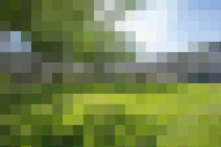 Flipje's Erf 16 Tiel thumbnail 6