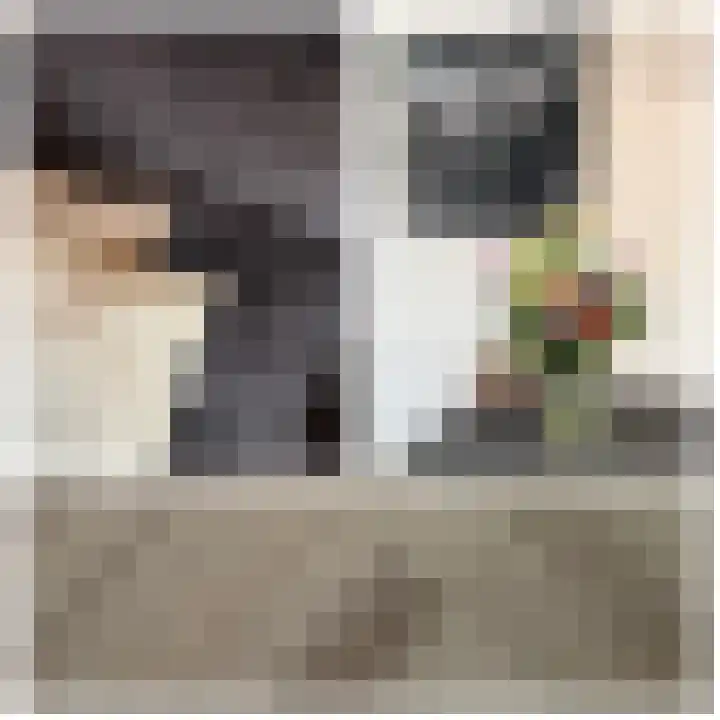 Flipje's Erf 18 Tiel thumbnail 15