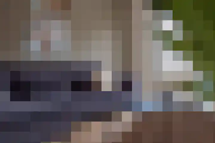 Flipje's Erf 18 Tiel thumbnail 16