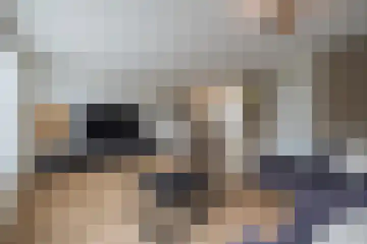 Flipje's Erf 18 Tiel thumbnail 18